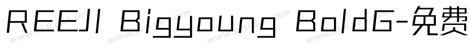 REEJI Bigyoung BoldG字体转换